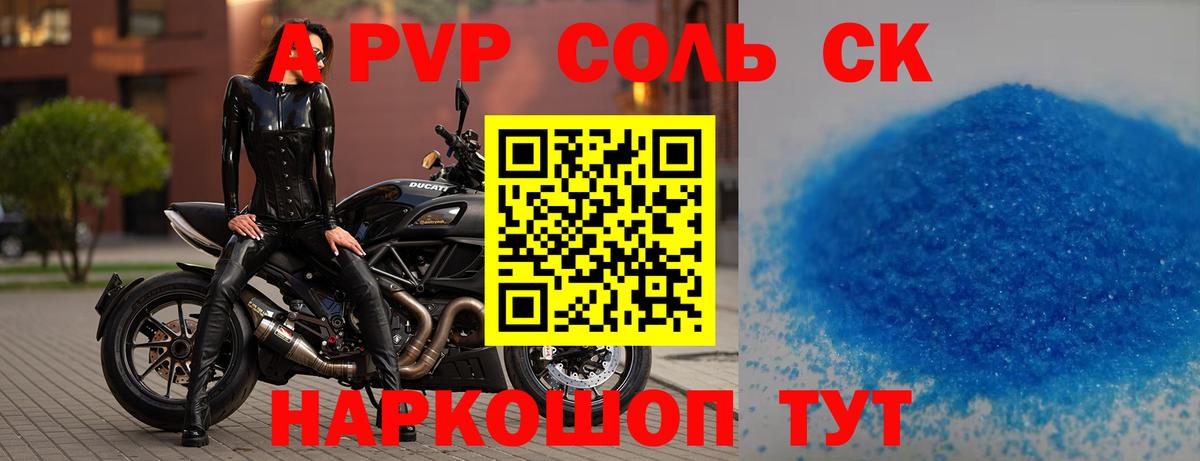 A PVP СК КРИС Новозыбков