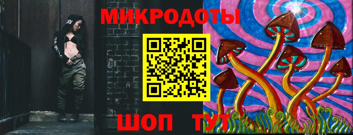 Галлюциногенные грибы Magic Shrooms  Вход с VPN  Новозыбков  где купить наркотик  Галлюциногенные грибы Psilocybe 